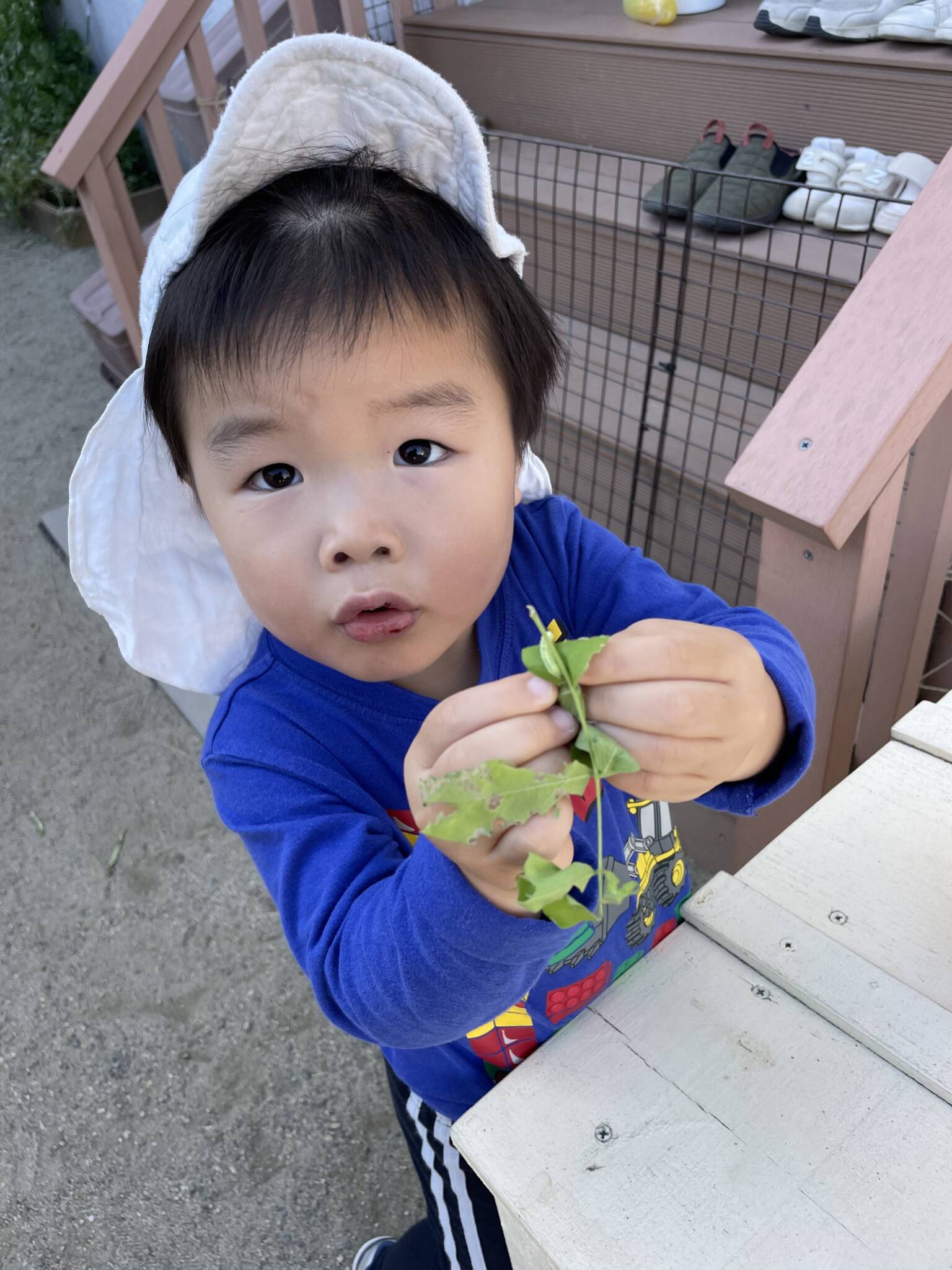園庭あそび