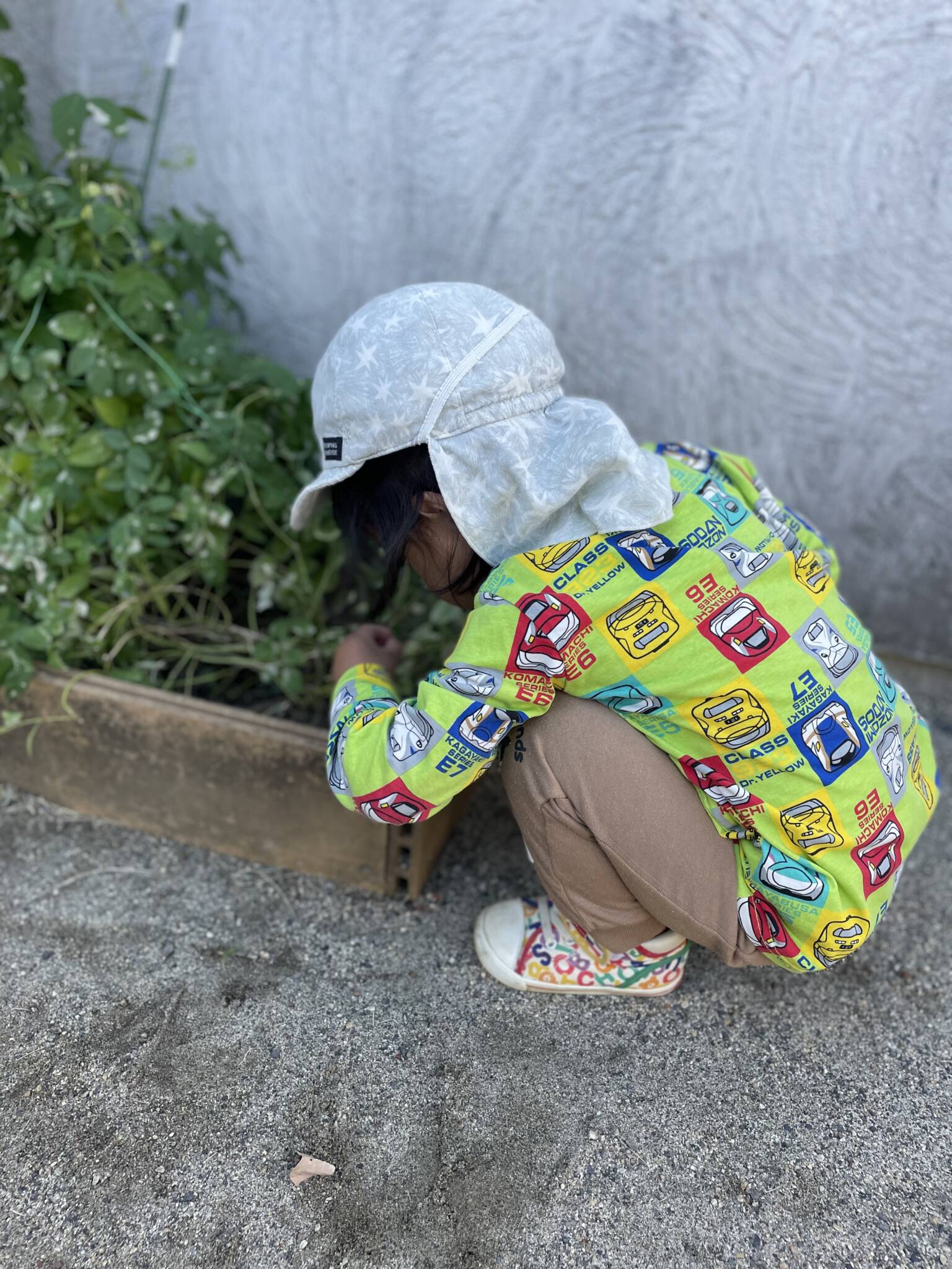 ぽかぽか陽気☀️