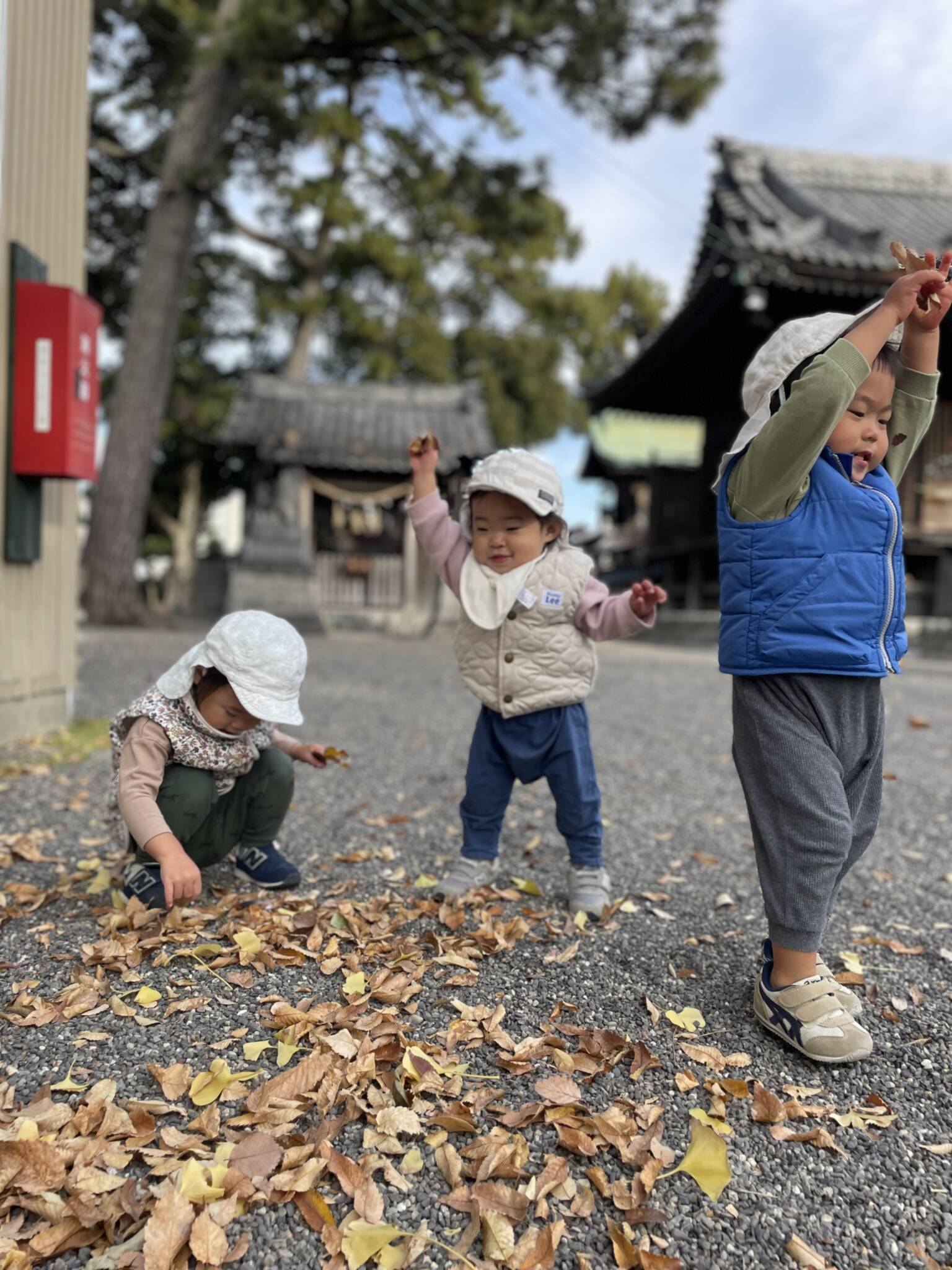葉っぱ🍃