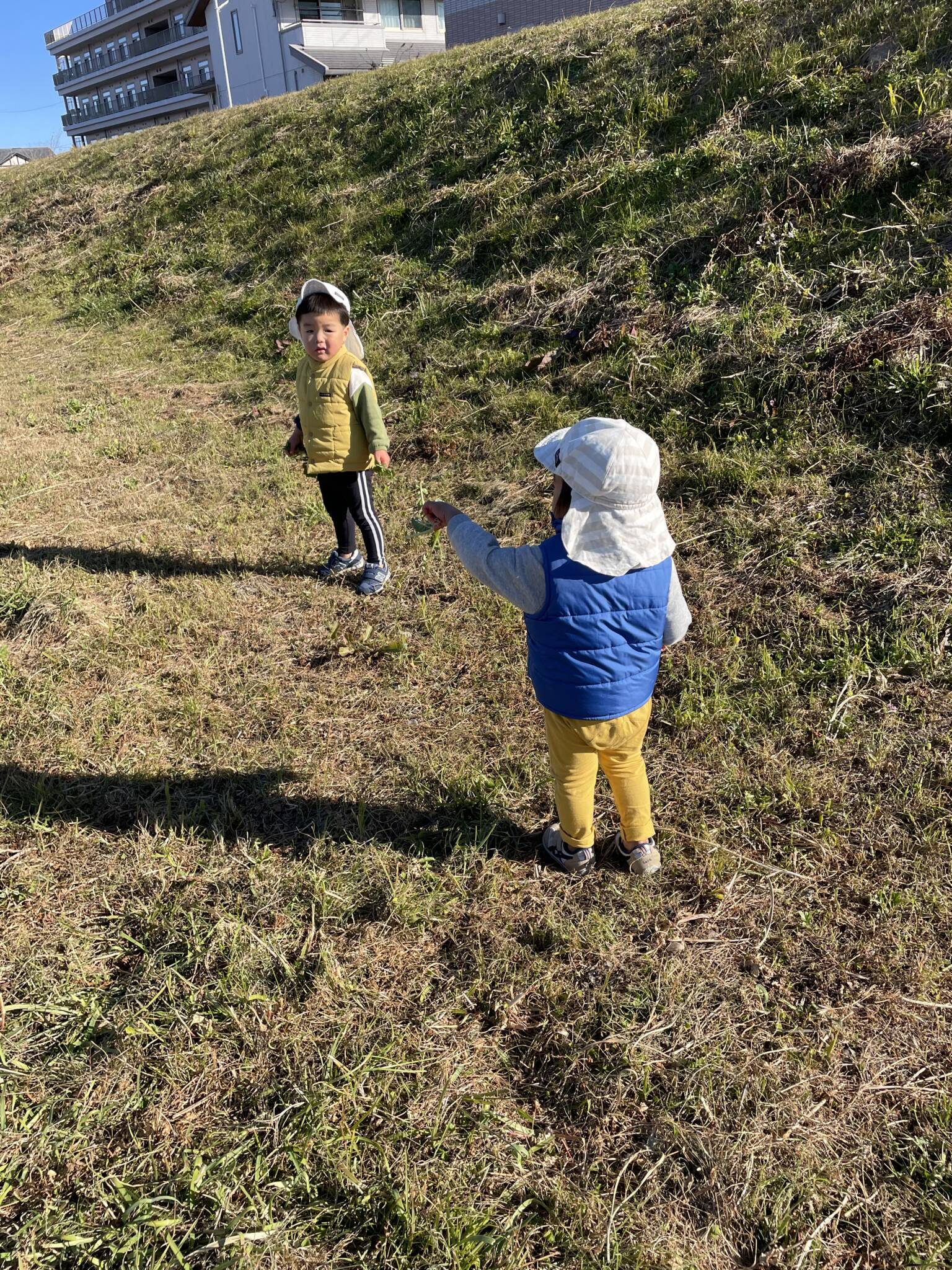 お散歩