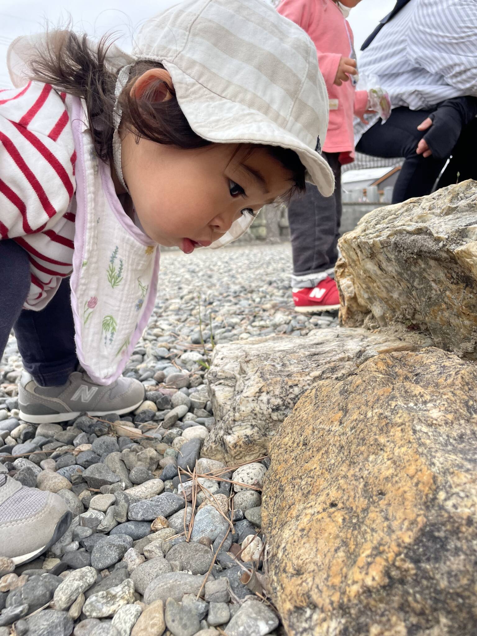 虫の観察🔍