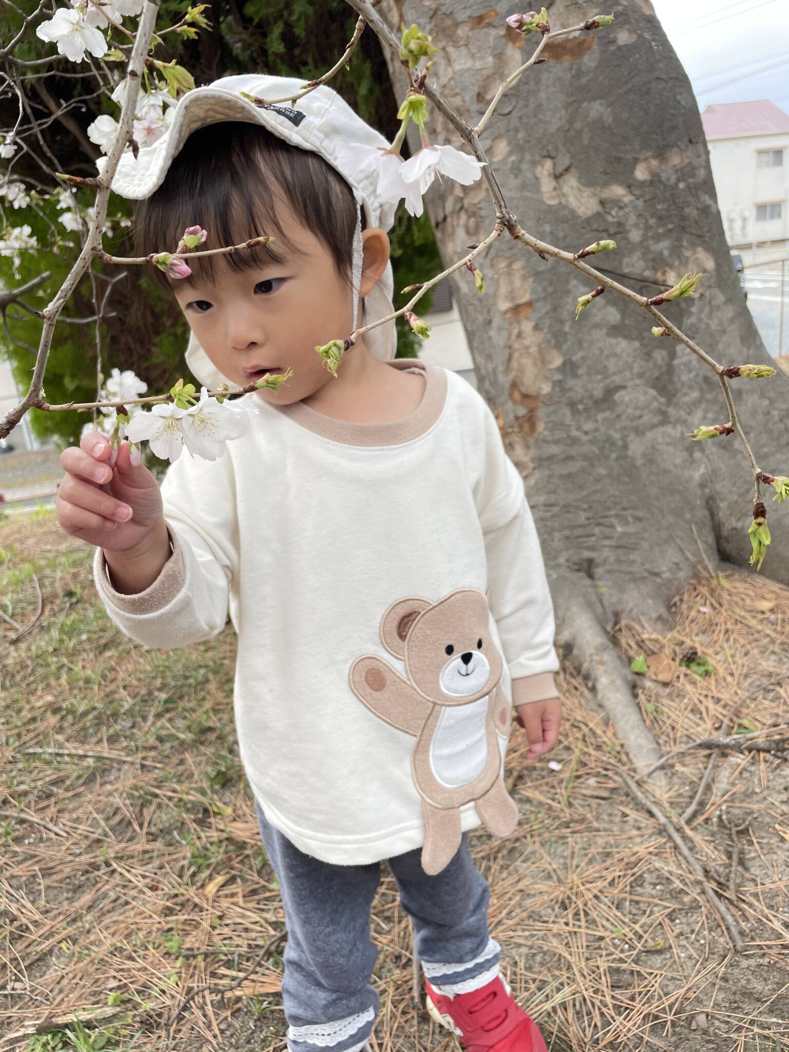 散歩