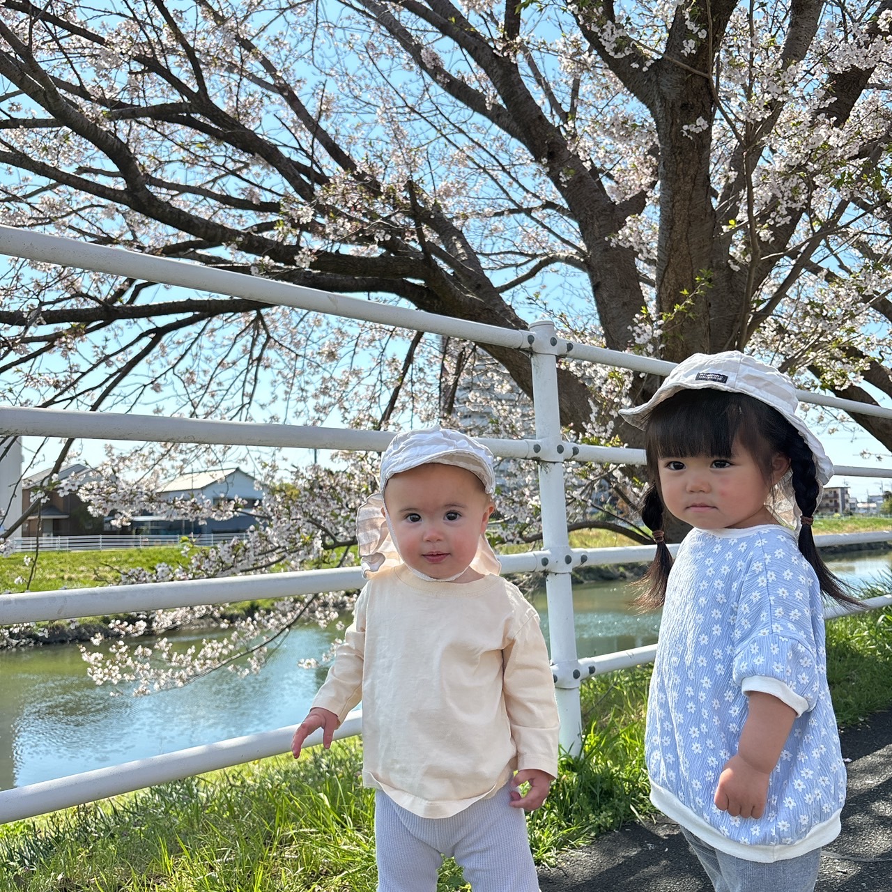 桜🌸を観に行きました