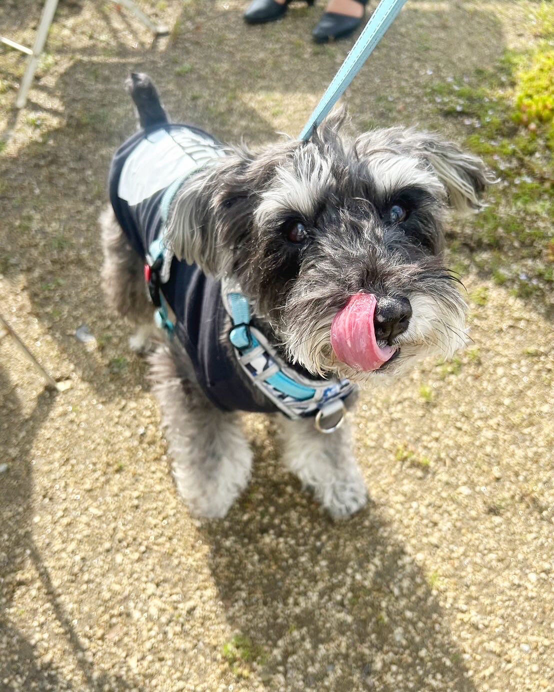 可愛いわんちゃんが来てくれました🐶💕