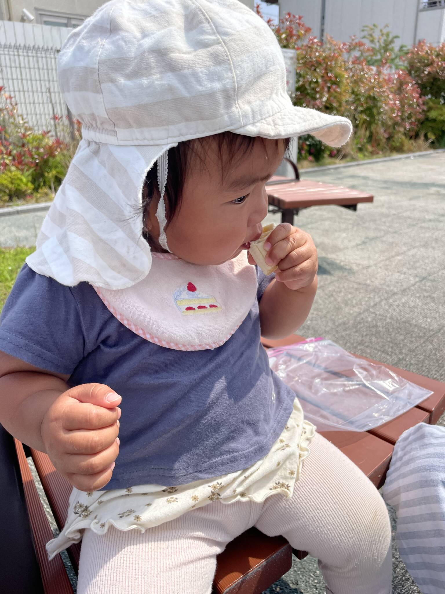 散歩🍀