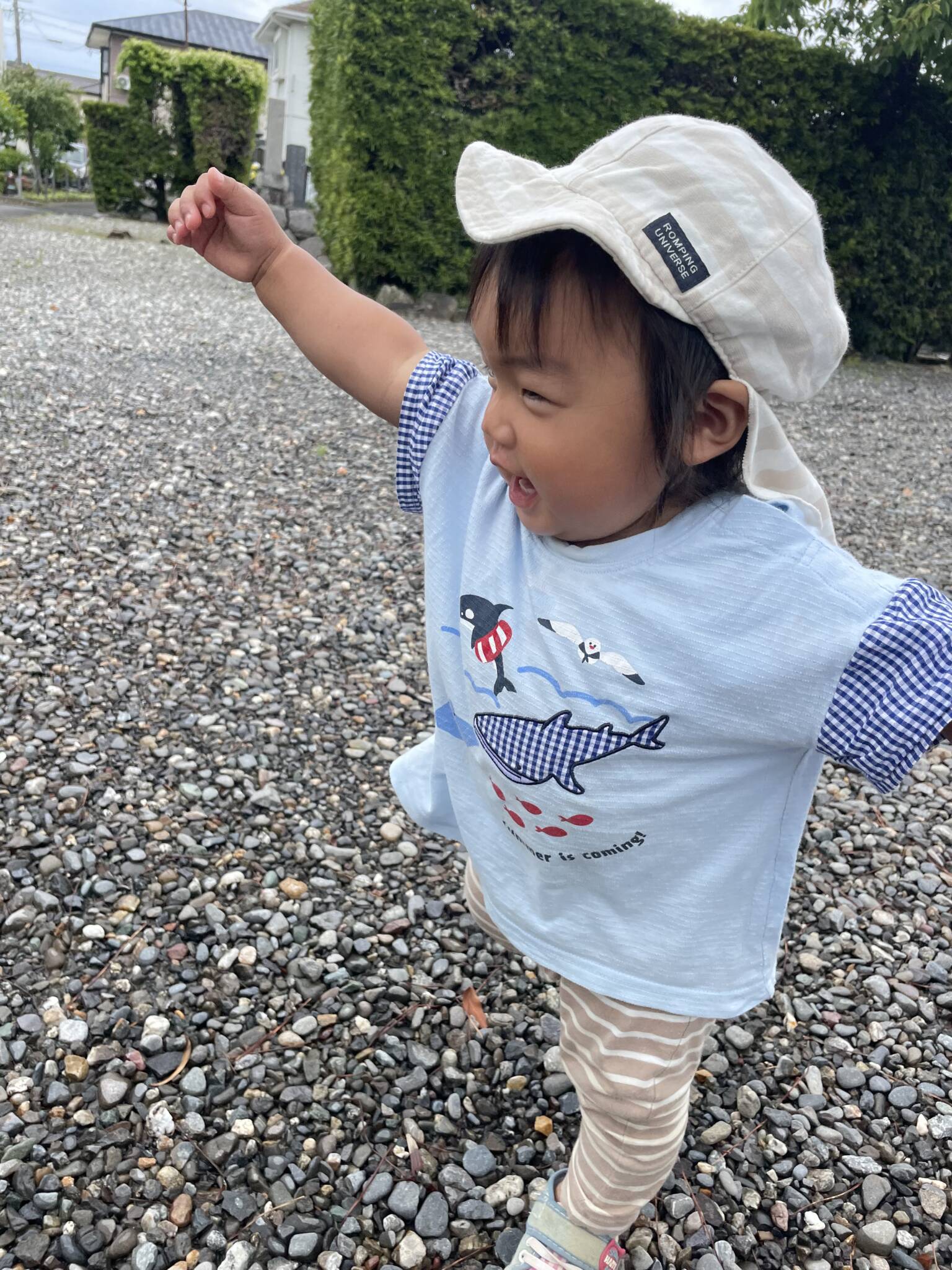 雨上がり✨