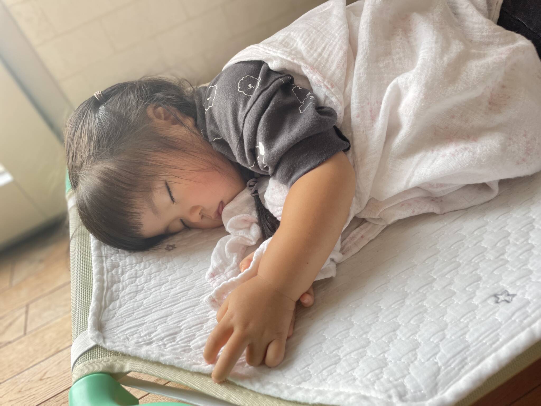 お昼寝💤
