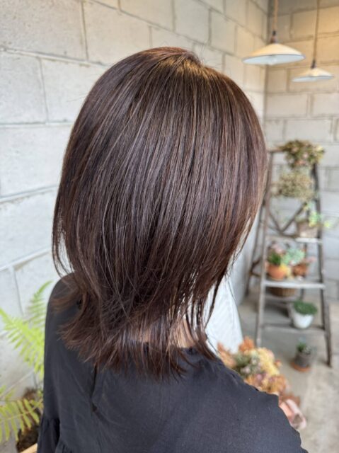 りんご幹細胞トリートメント