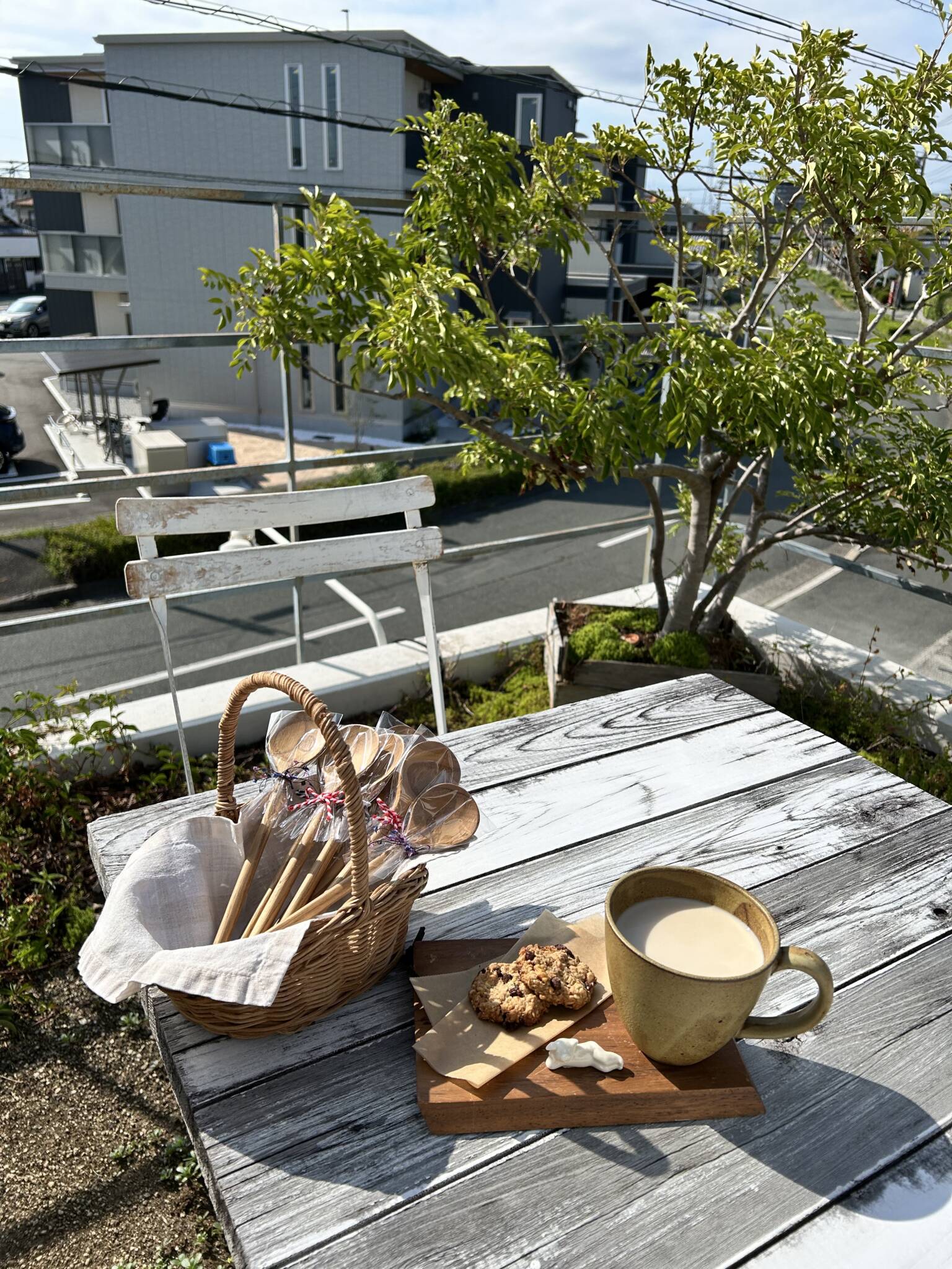 ジンジャーミルクティーの季節になってきました🍁