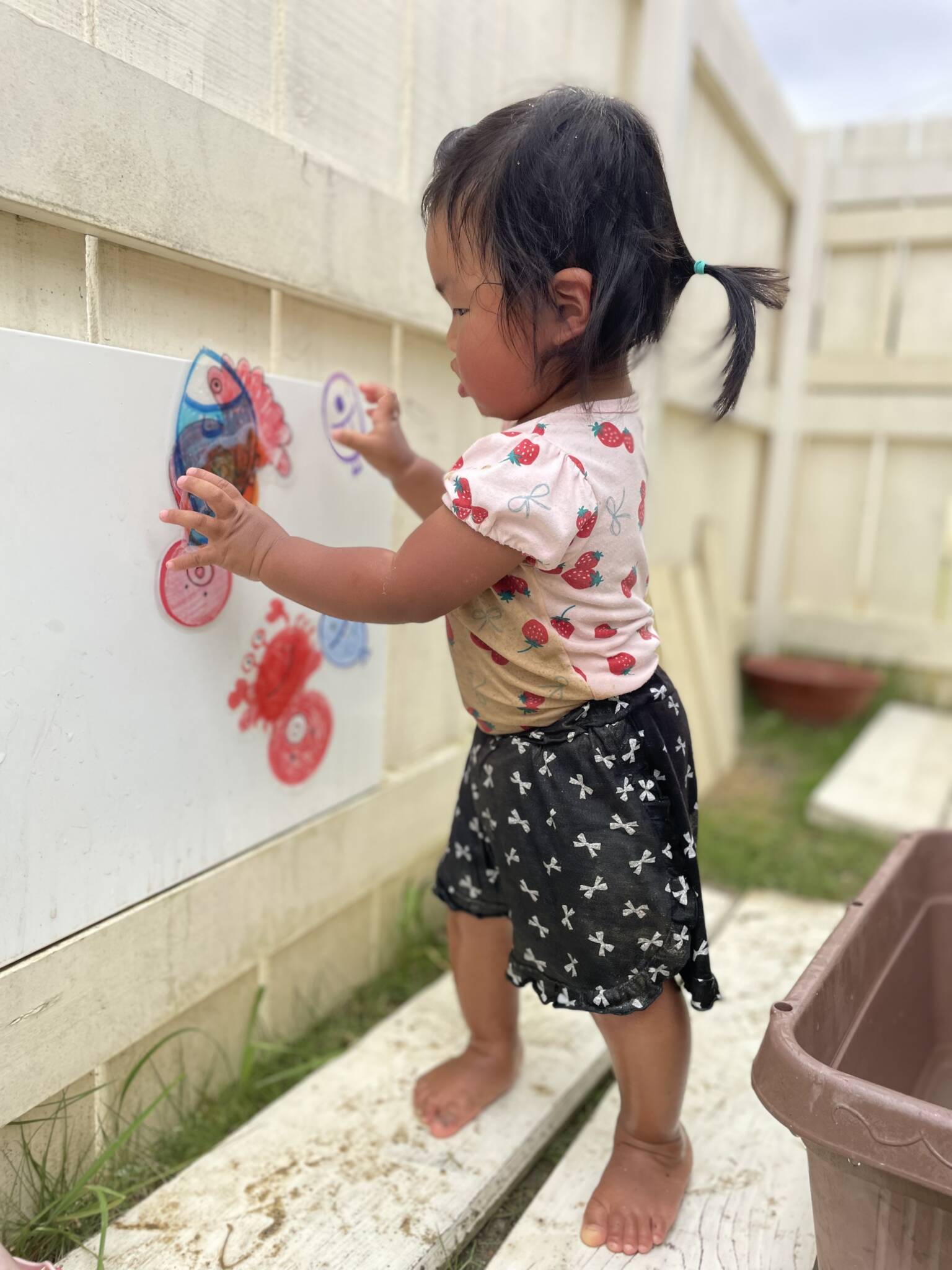 雨の合間に😊