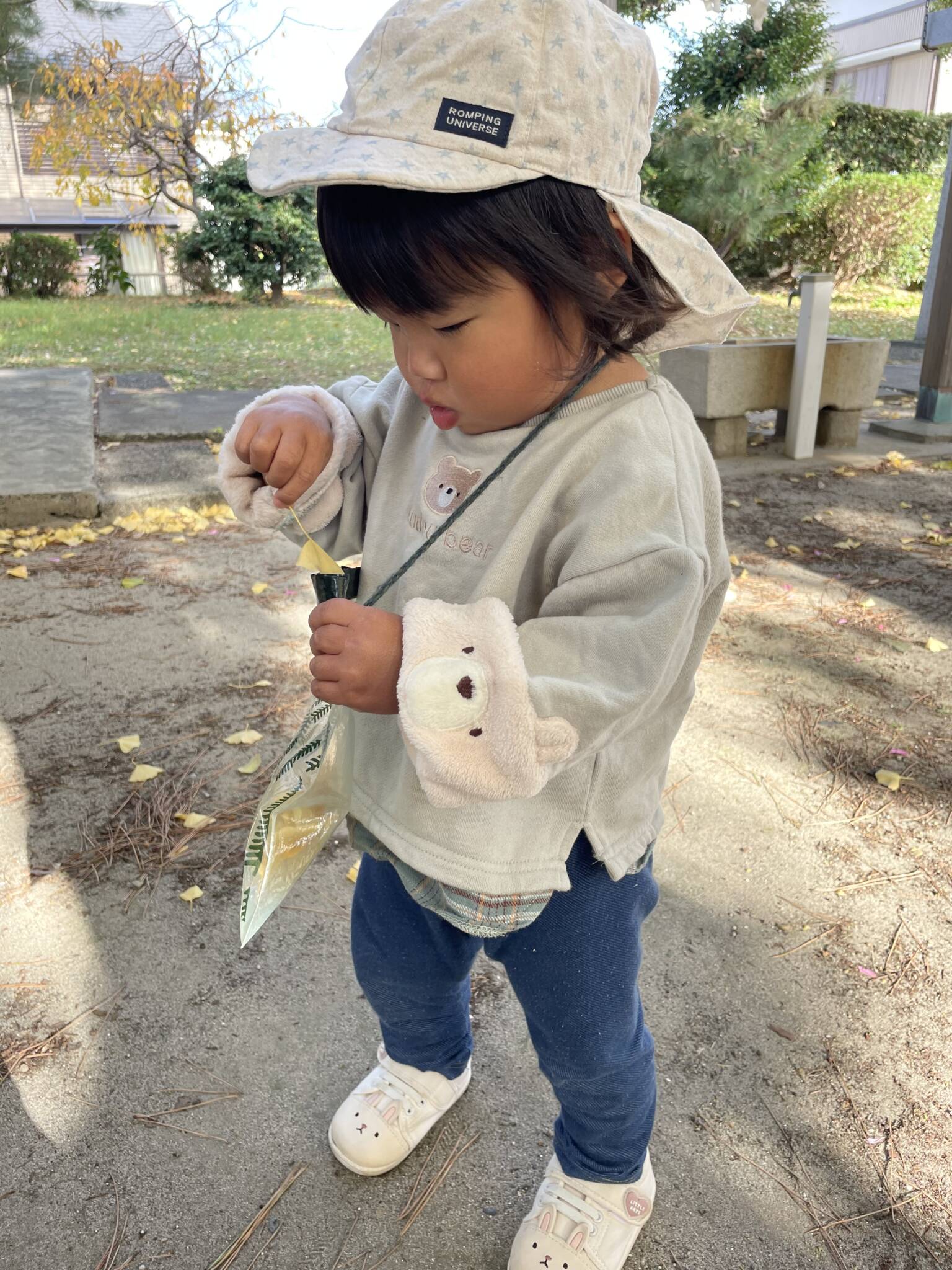 遊びを見つけて🐶