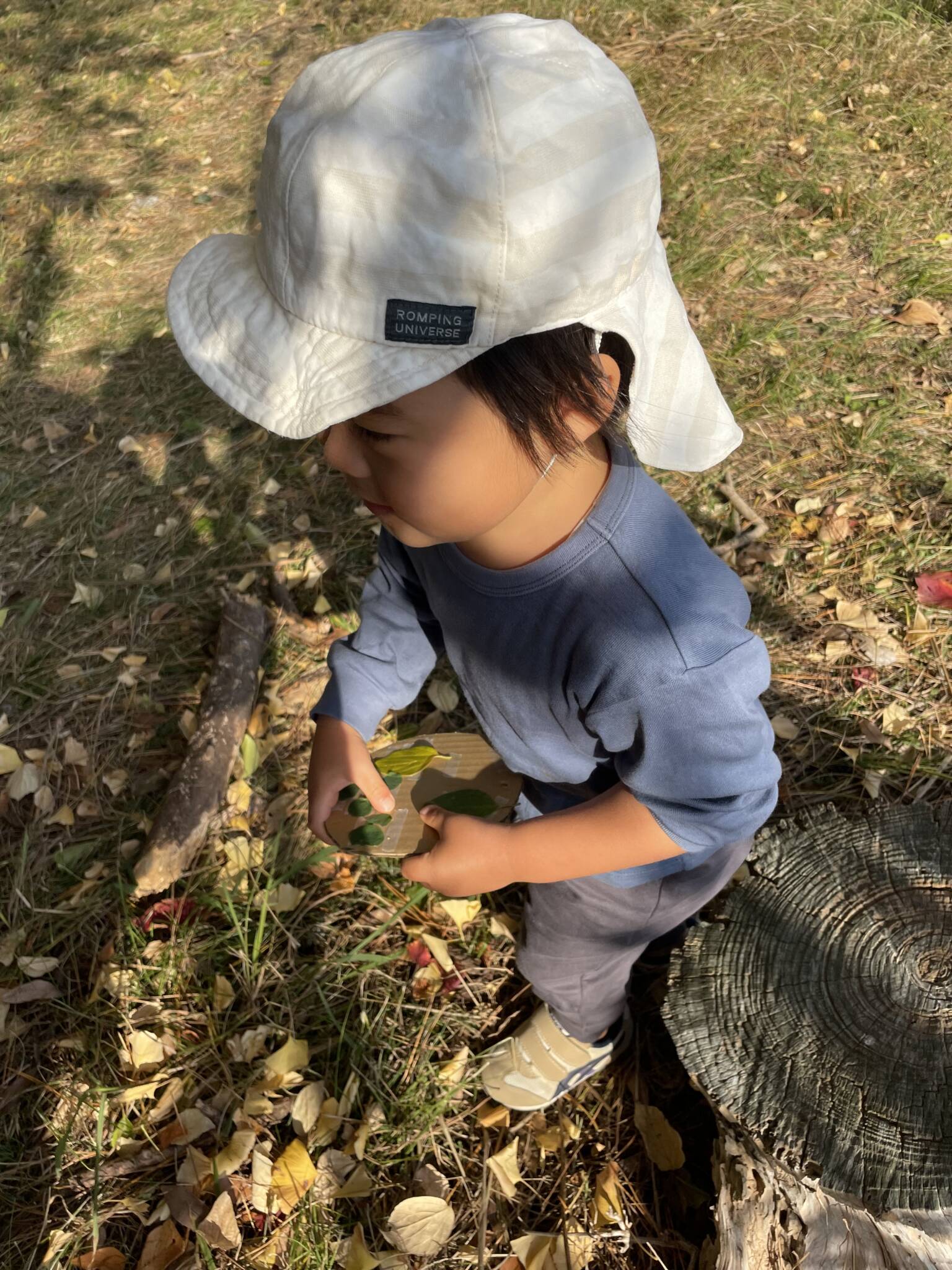 🍁公園までお散歩🍁