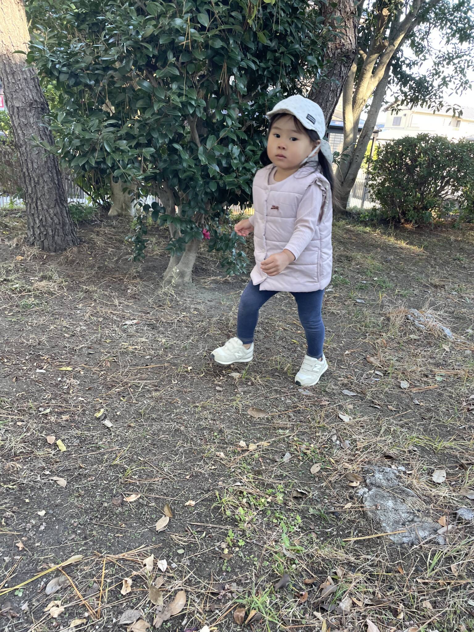 ひなたぼっこ☀️