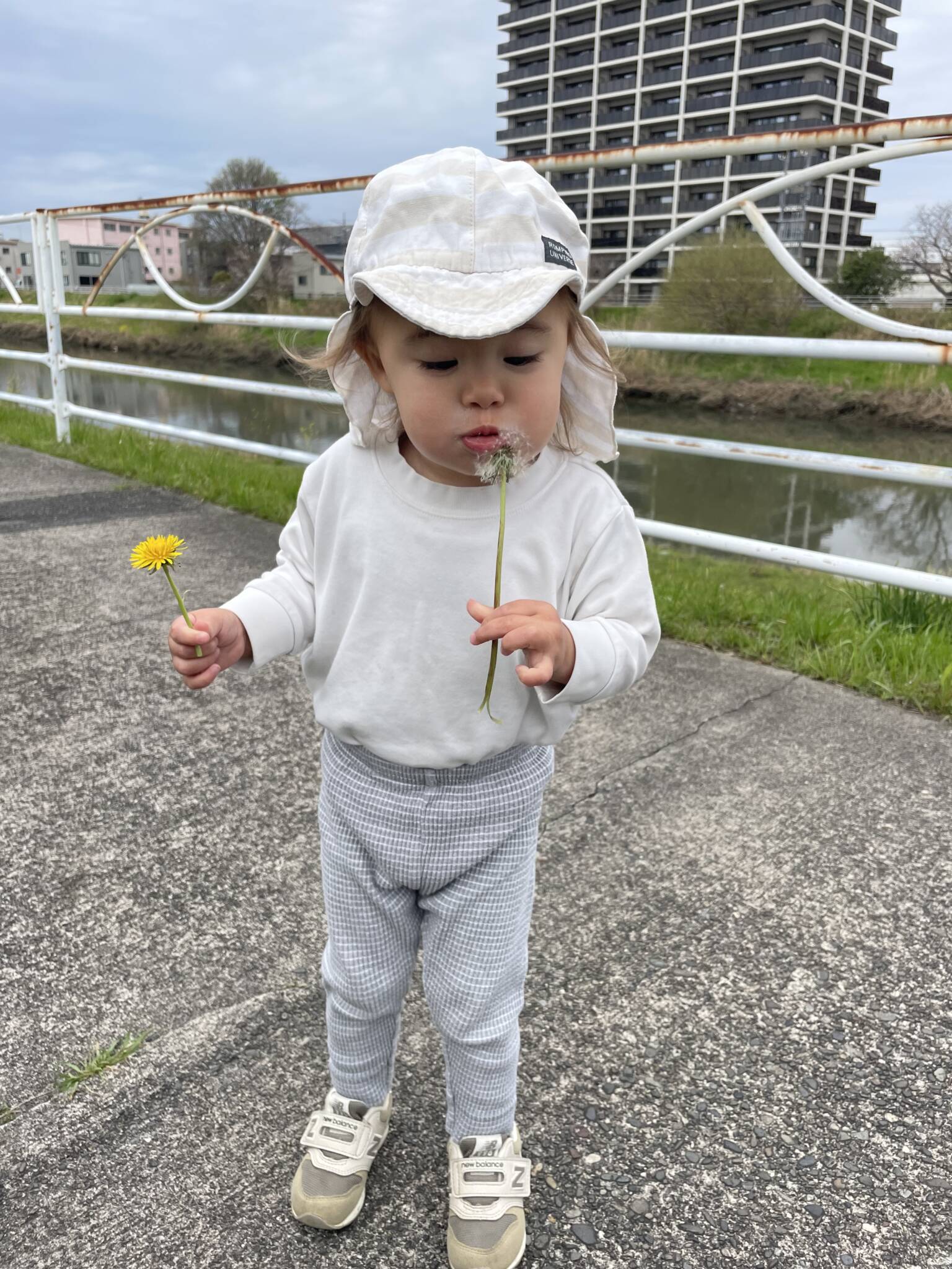 新年度のはじまりです🌸
